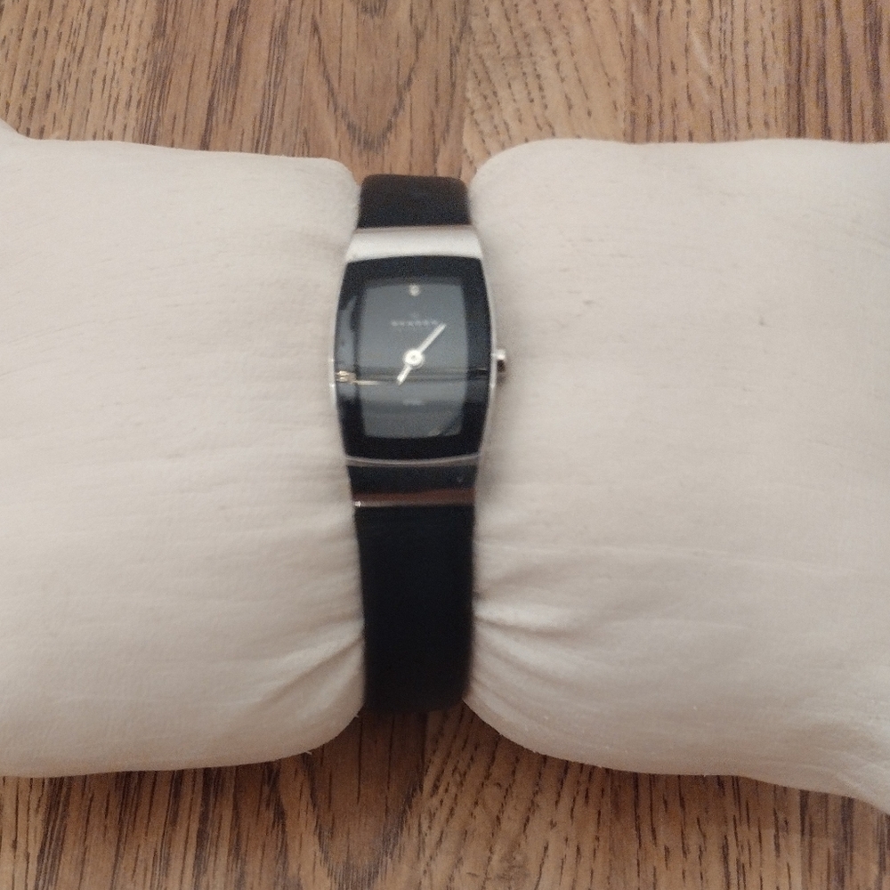 Women's 271SSLB Skagen 16MM Quartz Watch